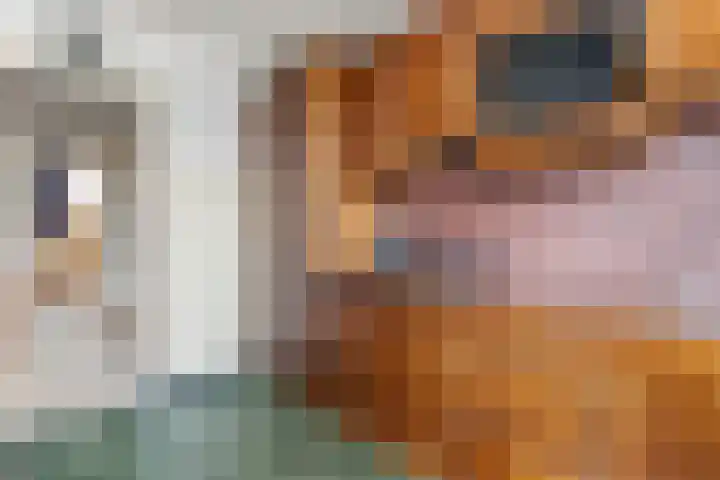 Johan van Oldenbarneveltlaan 78 Zeist thumbnail 15