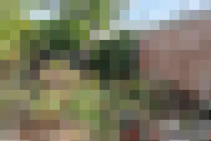 Johan van Oldenbarneveltlaan 78 Zeist thumbnail 18