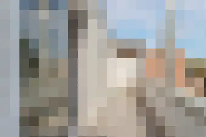 Johan van Oldenbarneveltlaan 78 Zeist thumbnail 32