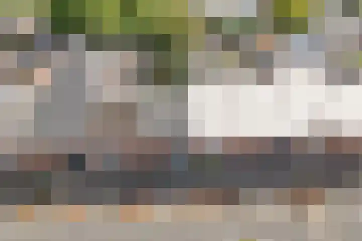 Johan van Oldenbarneveltlaan 78 Zeist thumbnail 34