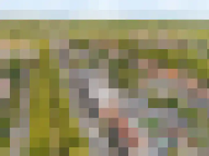 Johan van Oldenbarneveltlaan 78 Zeist thumbnail 35