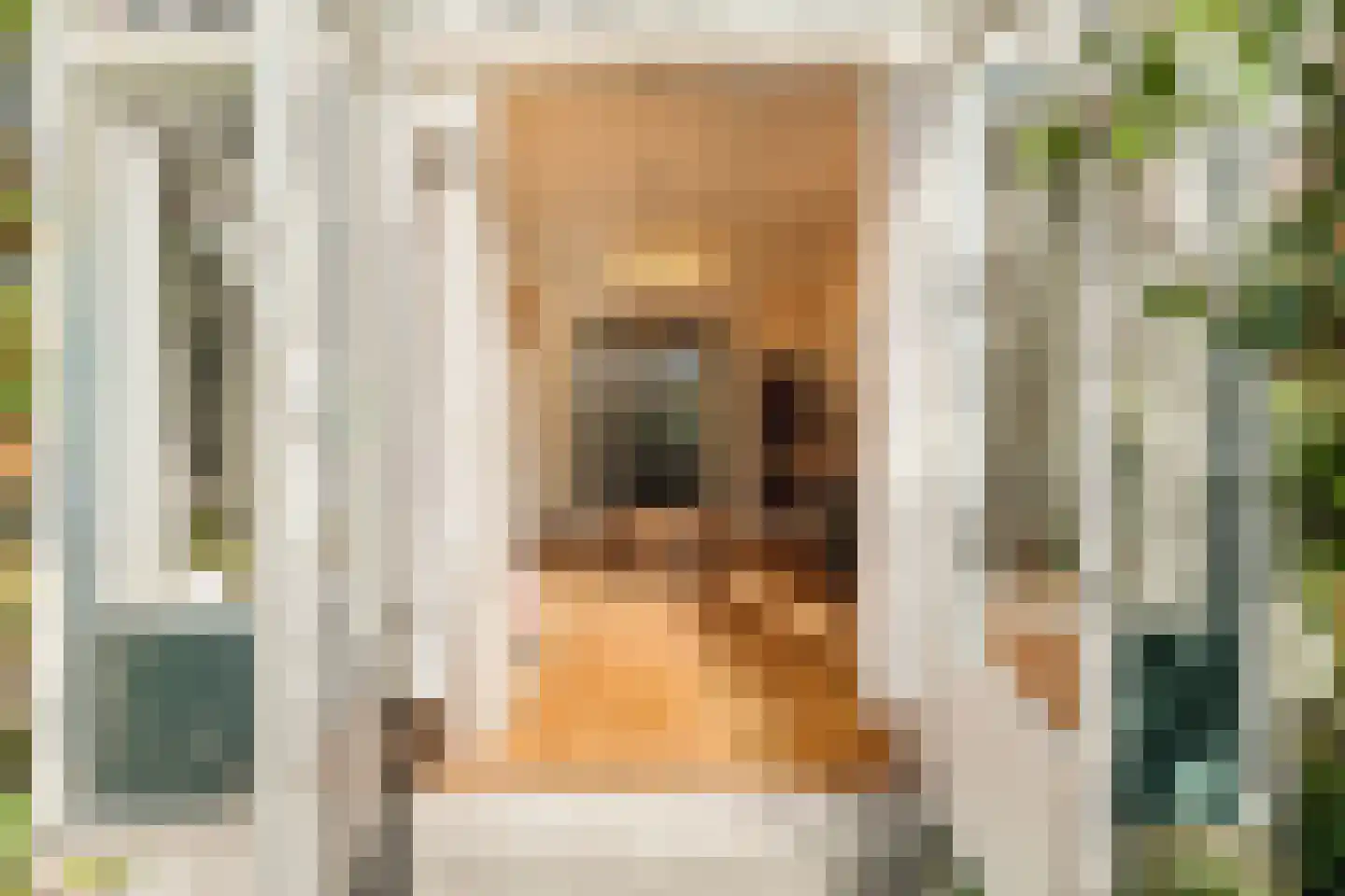 Johan van Oldenbarneveltlaan 83 Den Haag thumbnail 18