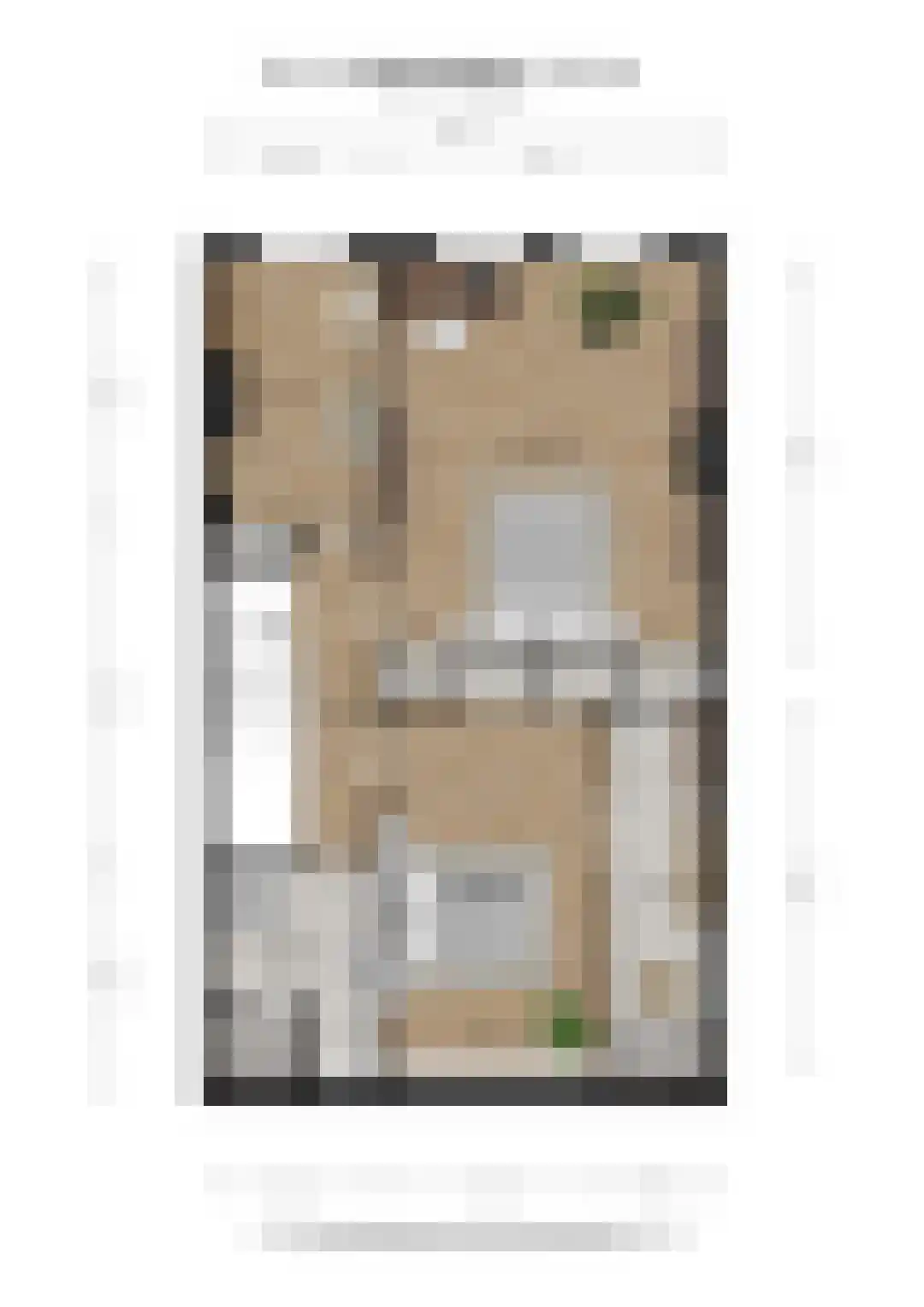 Johan van Oldenbarneveltlaan 83 Den Haag thumbnail 38