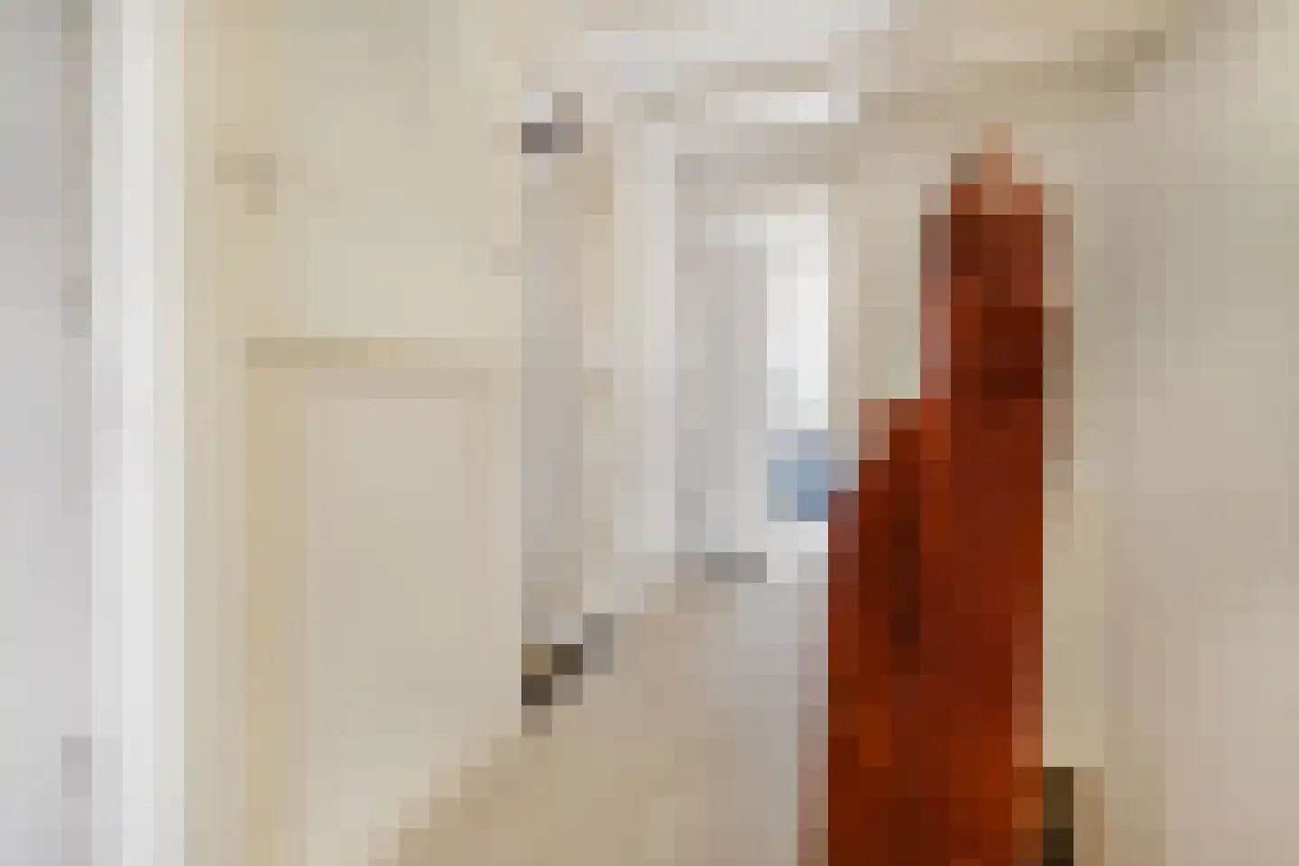 Johan van Oldenbarneveltlaan 83 Den Haag thumbnail 43