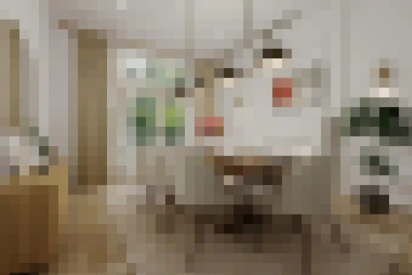 Johan van Oldenbarneveltlaan 83 Den Haag thumbnail 51
