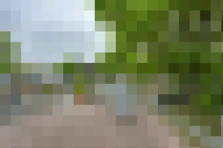 Johan van Oldenbarneveltlaan 84 Zeist thumbnail 14