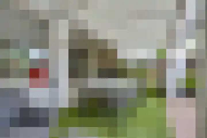 Johan van Oldenbarneveltlaan 84 Zeist thumbnail 16