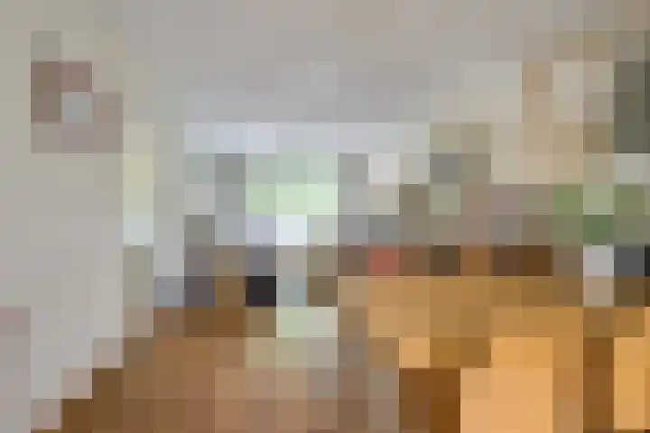 Johan van Oldenbarneveltlaan 84 Zeist thumbnail 17