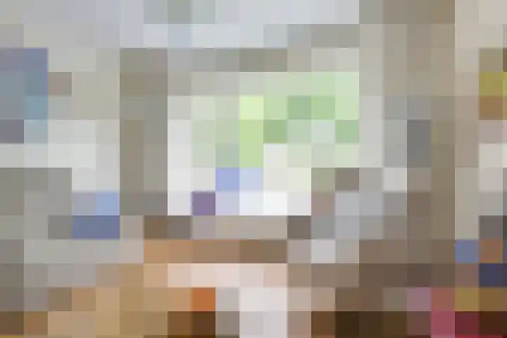 Johan van Oldenbarneveltlaan 84 Zeist thumbnail 18