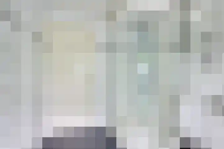Johan van Oldenbarneveltlaan 84 Zeist thumbnail 27