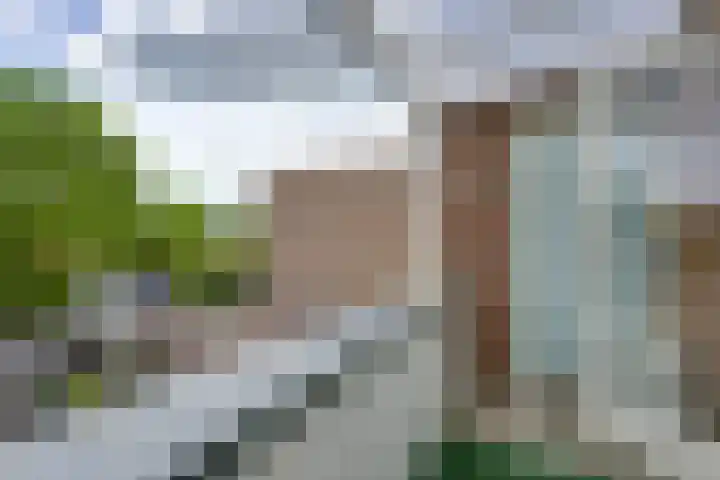 Johan van Oldenbarneveltlaan 84 Zeist thumbnail 28