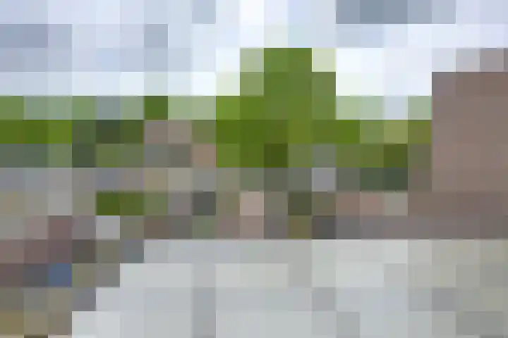 Johan van Oldenbarneveltlaan 84 Zeist thumbnail 29
