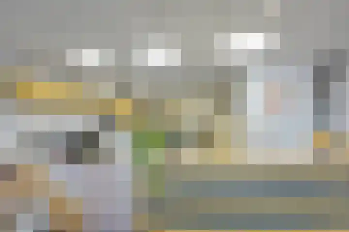 Johan van Oldenbarneveltlaan 84 Zeist thumbnail 5