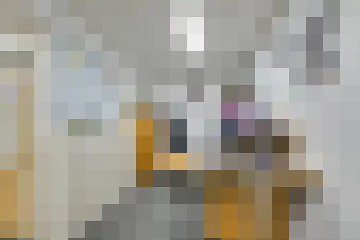 Johan van Oldenbarneveltlaan 84 Zeist thumbnail 6