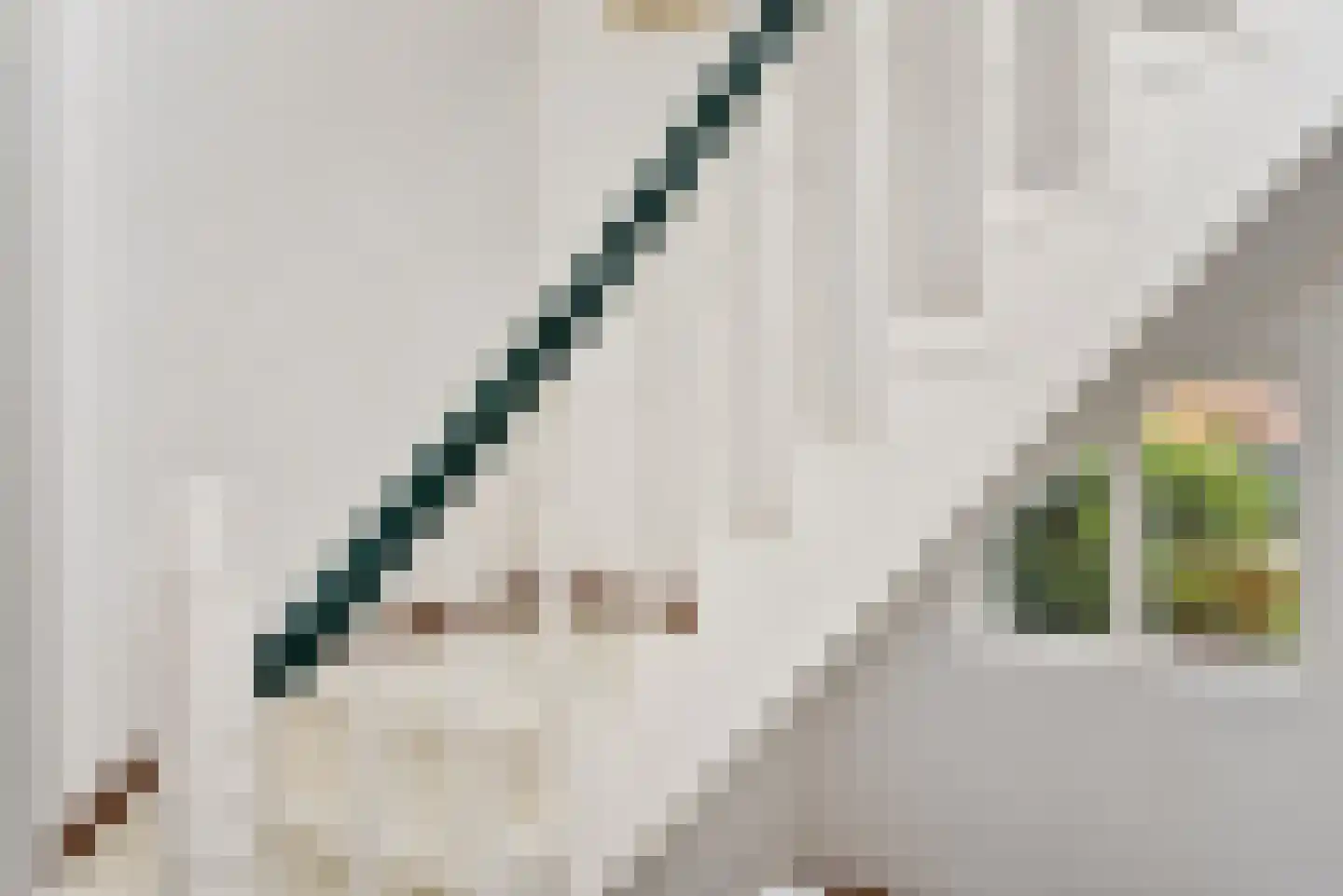 Johan van Oldenbarneveltlaan 89 B Den Haag thumbnail 42