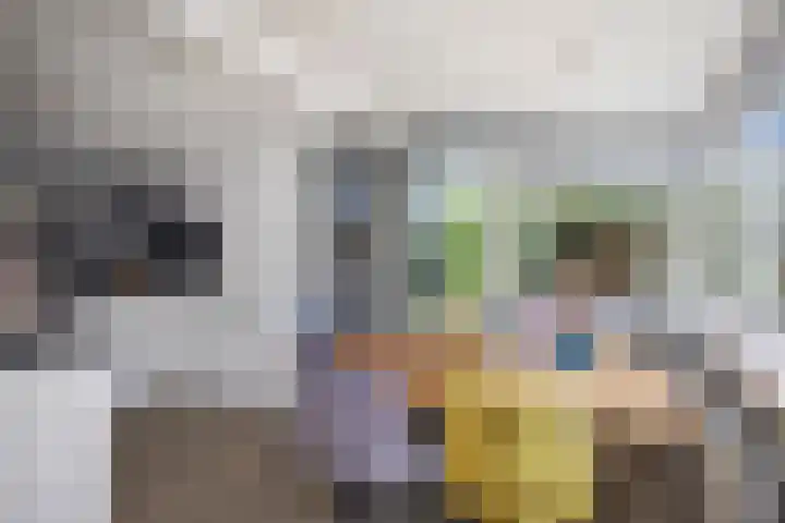 Johan van Oldenbarneveltlaan 9 Lochem thumbnail 12