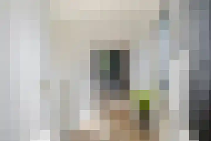 Johan van Oldenbarneveltlaan 9 Lochem thumbnail 24