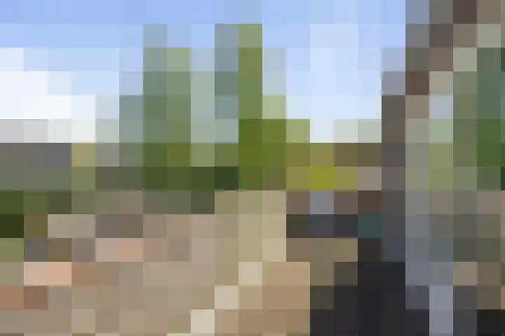 Johan van Oldenbarneveltlaan 9 Lochem thumbnail 28