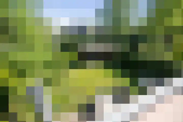 Johan van Oldenbarneveltlaan 9 Lochem thumbnail 29