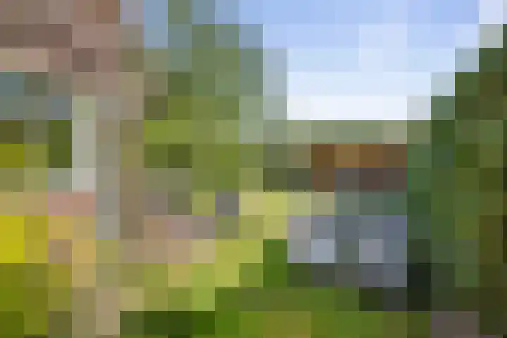 Johan van Oldenbarneveltlaan 9 Lochem thumbnail 31