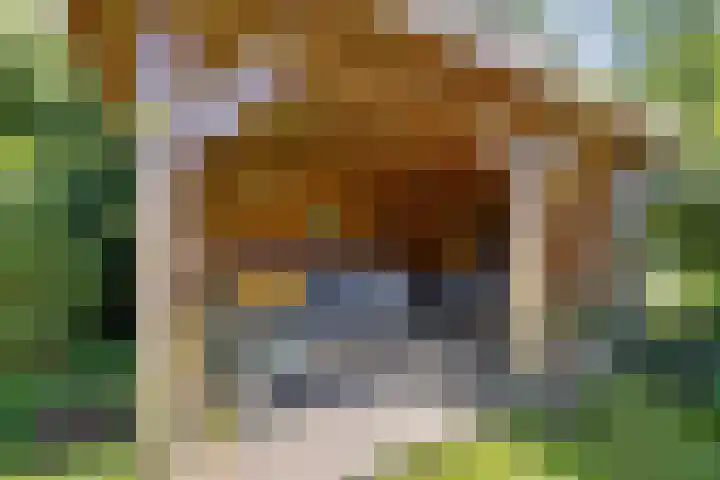 Johan van Oldenbarneveltlaan 9 Lochem thumbnail 32