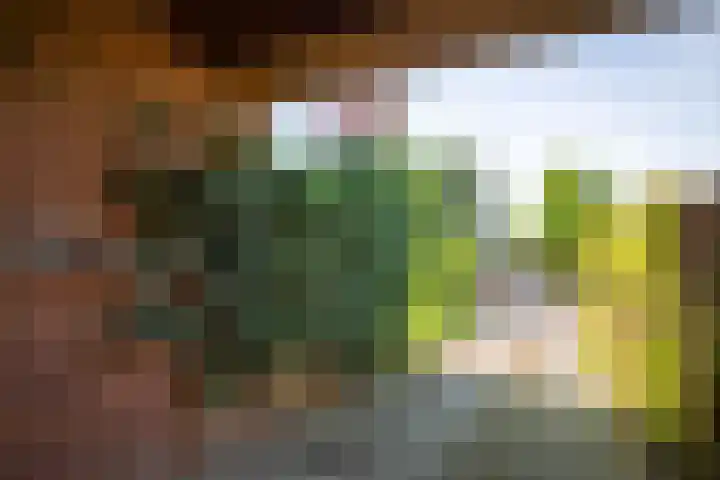 Johan van Oldenbarneveltlaan 9 Lochem thumbnail 37