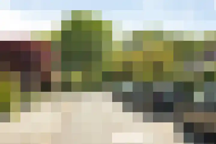Johan van Oldenbarneveltlaan 9 Lochem thumbnail 39