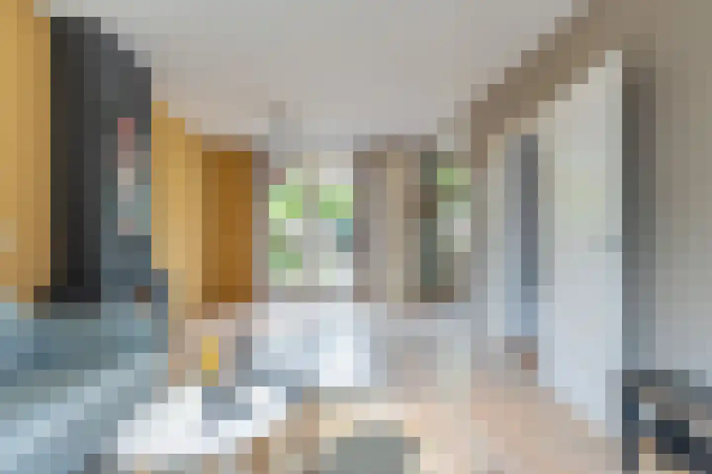 Johan van Oldenbarneveltstraat 1 Zwolle thumbnail 15