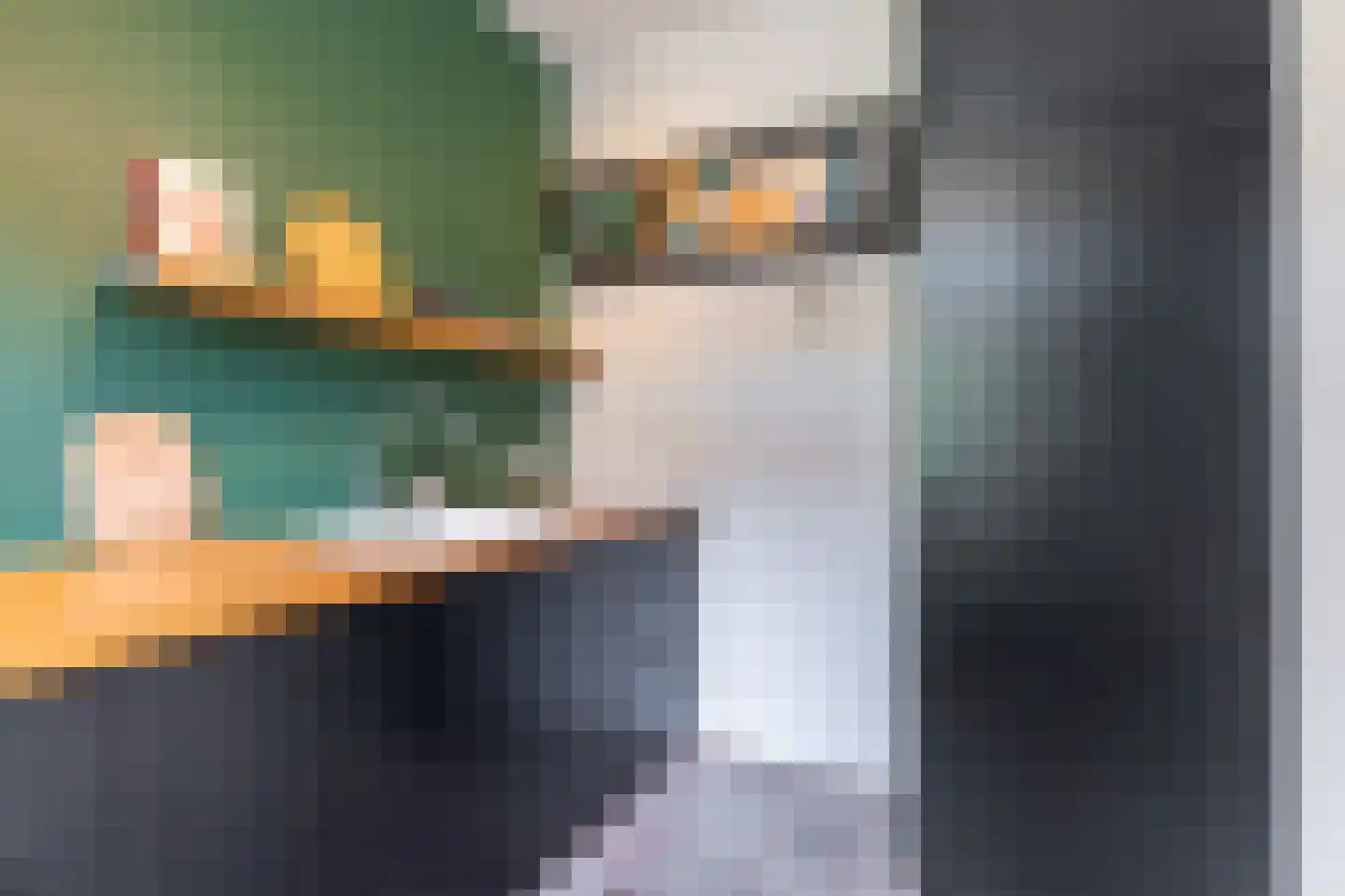 Johan van Oldenbarneveltstraat 1 Zwolle thumbnail 21