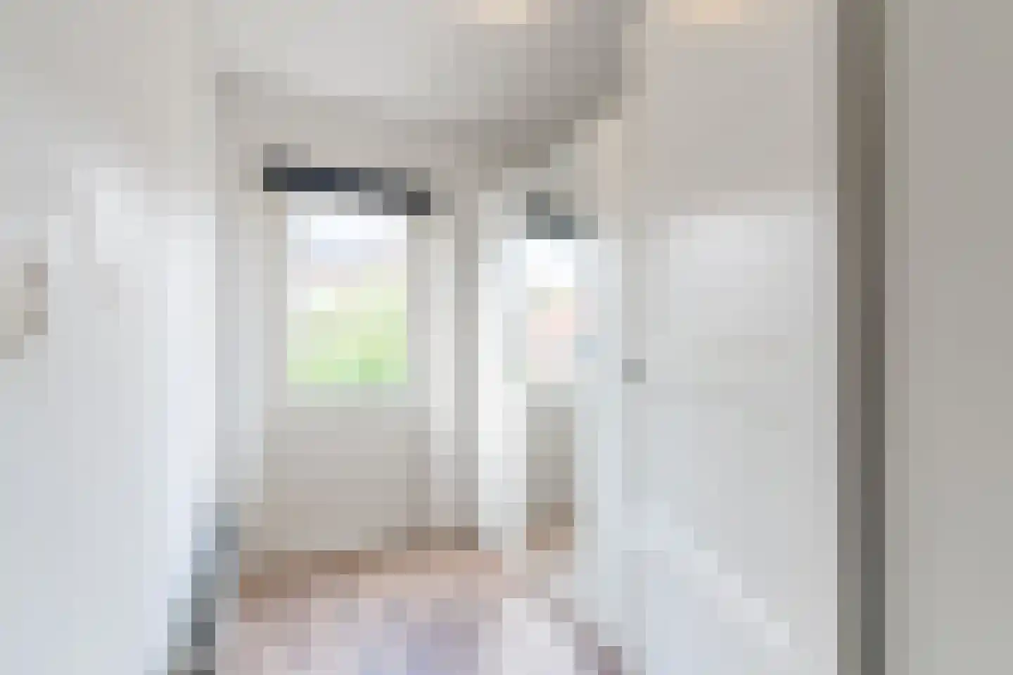 Johan van Oldenbarneveltstraat 1 Zwolle thumbnail 27