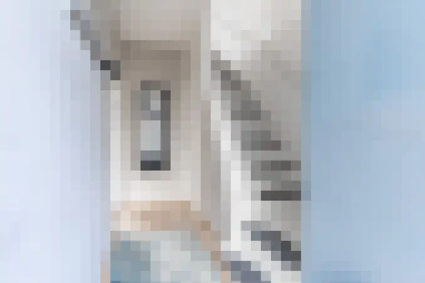 Johan van Oldenbarneveltstraat 1 Zwolle thumbnail 7