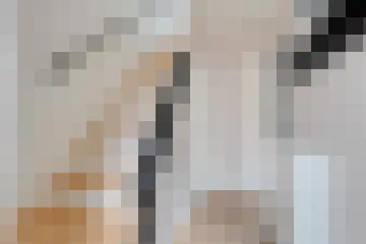 Johan van Oldenbarneveltstraat 10 Zwolle thumbnail 13