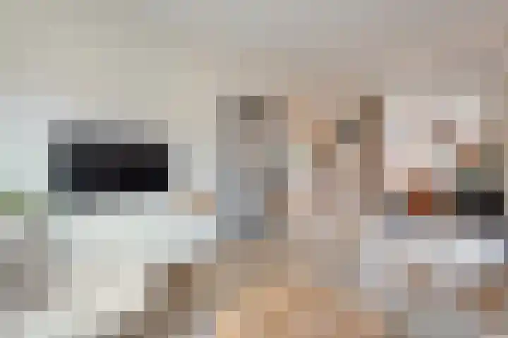Johan van Oldenbarneveltstraat 10 Zwolle thumbnail 17