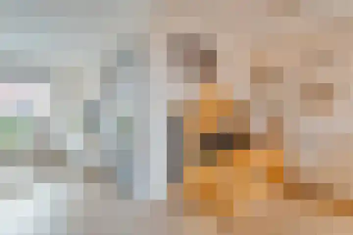 Johan van Oldenbarneveltstraat 10 Zwolle thumbnail 19