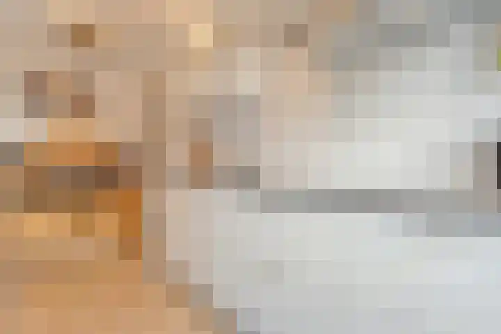 Johan van Oldenbarneveltstraat 10 Zwolle thumbnail 21