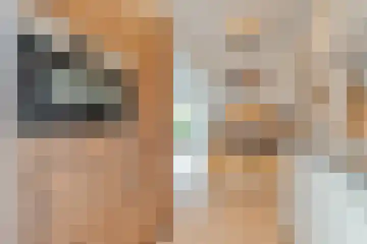 Johan van Oldenbarneveltstraat 10 Zwolle thumbnail 22