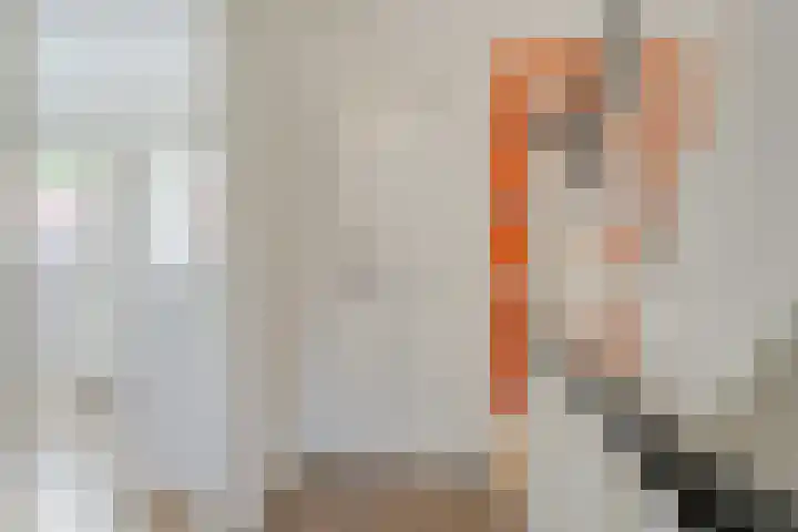Johan van Oldenbarneveltstraat 10 Zwolle thumbnail 26