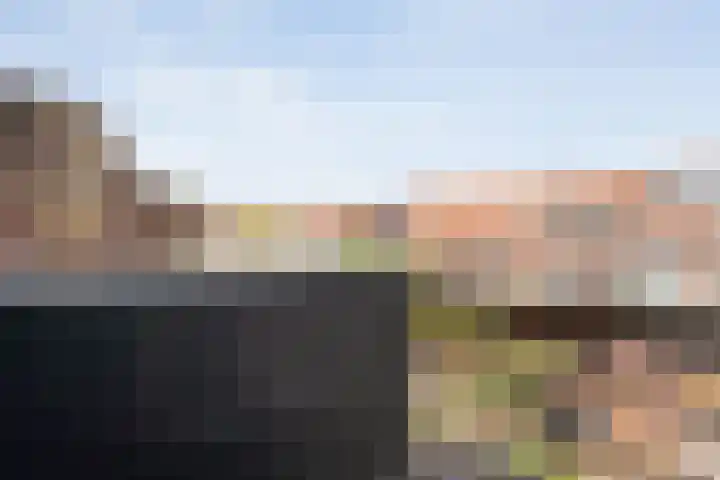 Johan van Oldenbarneveltstraat 10 Zwolle thumbnail 29