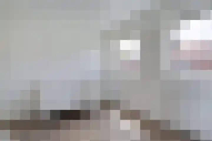 Johan van Oldenbarneveltstraat 10 Zwolle thumbnail 31
