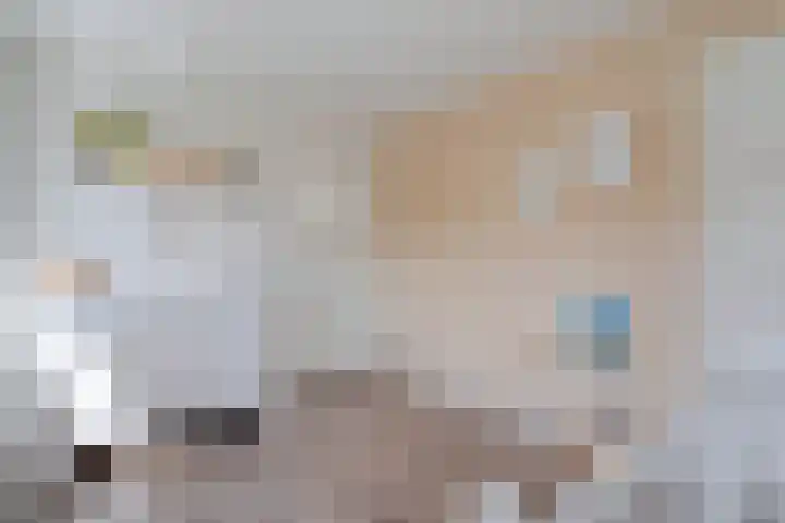 Johan van Oldenbarneveltstraat 10 Zwolle thumbnail 32