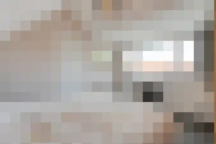 Johan van Oldenbarneveltstraat 10 Zwolle thumbnail 39