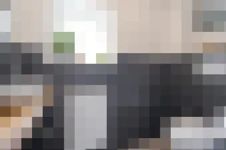 Johan van Oldenbarneveltstraat 10 Zwolle thumbnail 4