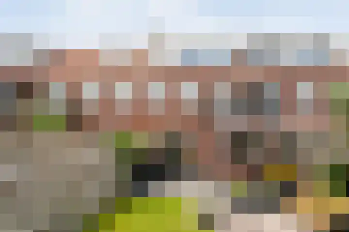 Johan van Oldenbarneveltstraat 10 Zwolle thumbnail 40