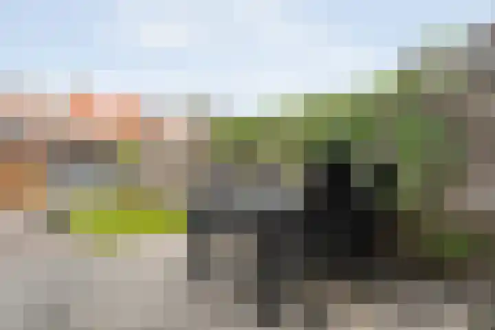Johan van Oldenbarneveltstraat 10 Zwolle thumbnail 41
