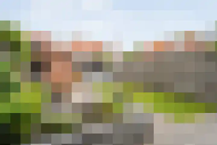 Johan van Oldenbarneveltstraat 10 Zwolle thumbnail 43