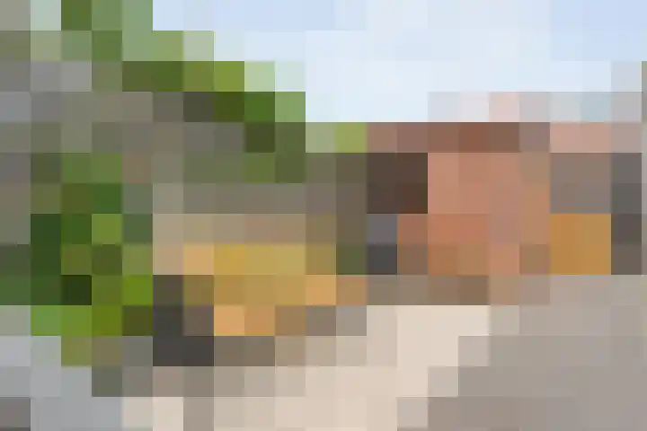 Johan van Oldenbarneveltstraat 10 Zwolle thumbnail 44