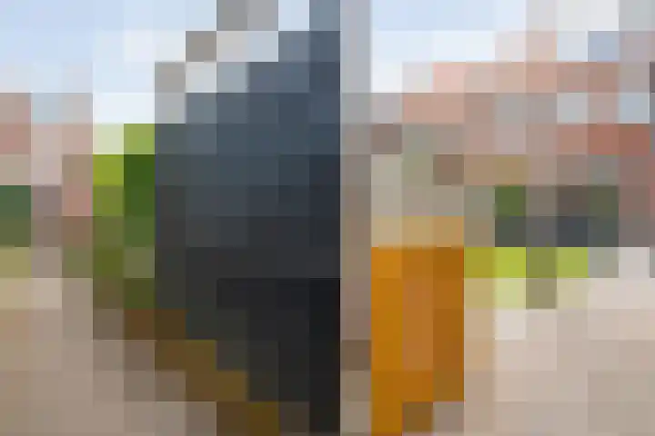 Johan van Oldenbarneveltstraat 10 Zwolle thumbnail 48