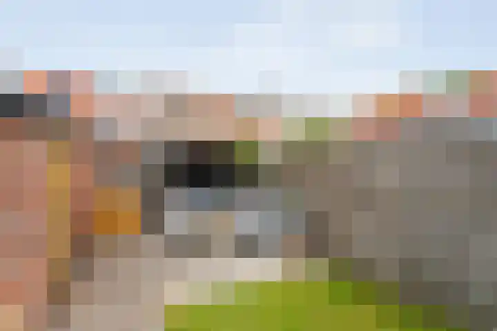 Johan van Oldenbarneveltstraat 10 Zwolle thumbnail 6