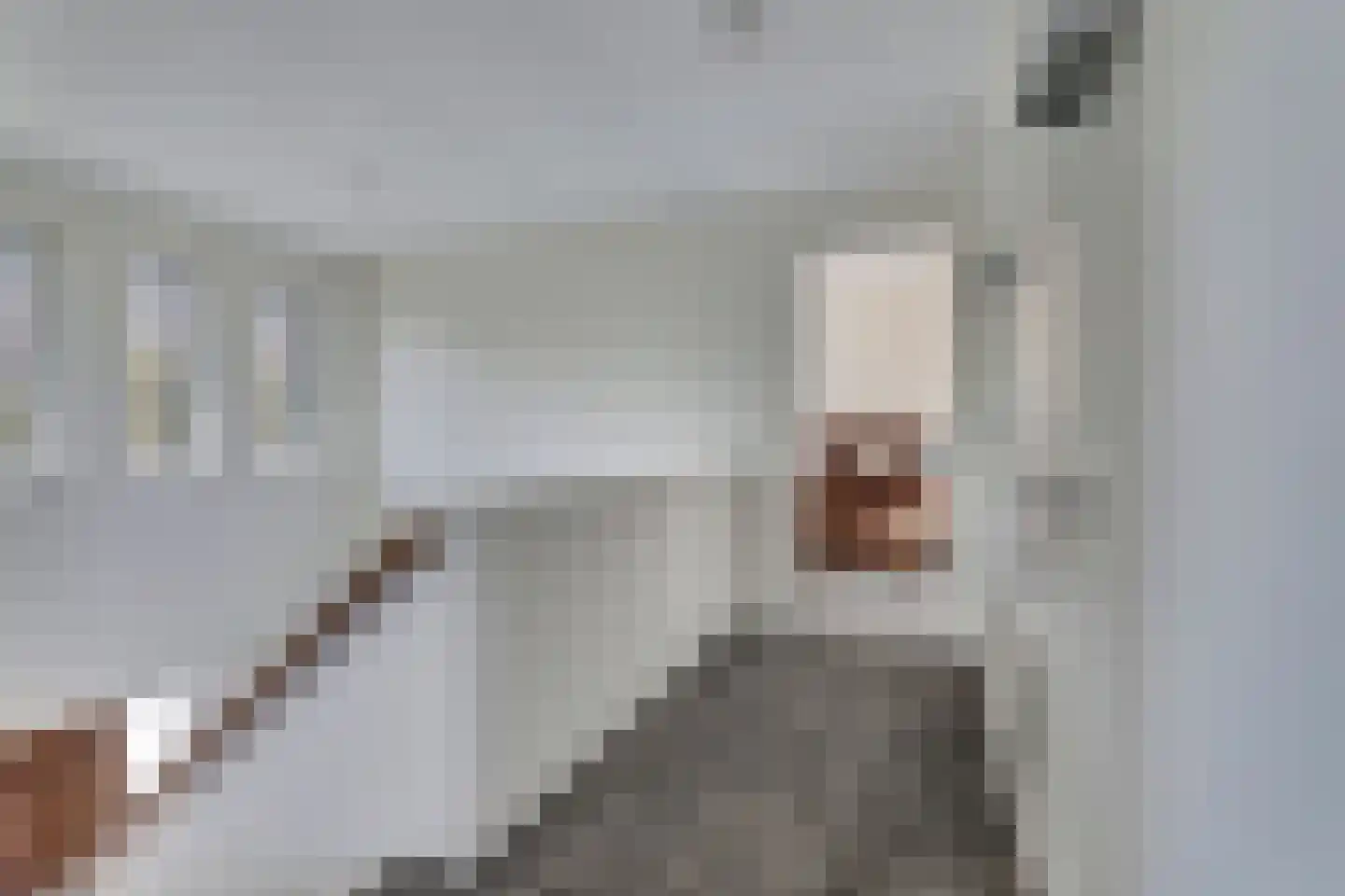 Johan van Oldenbarneveltstraat 2 1 Harlingen thumbnail 24