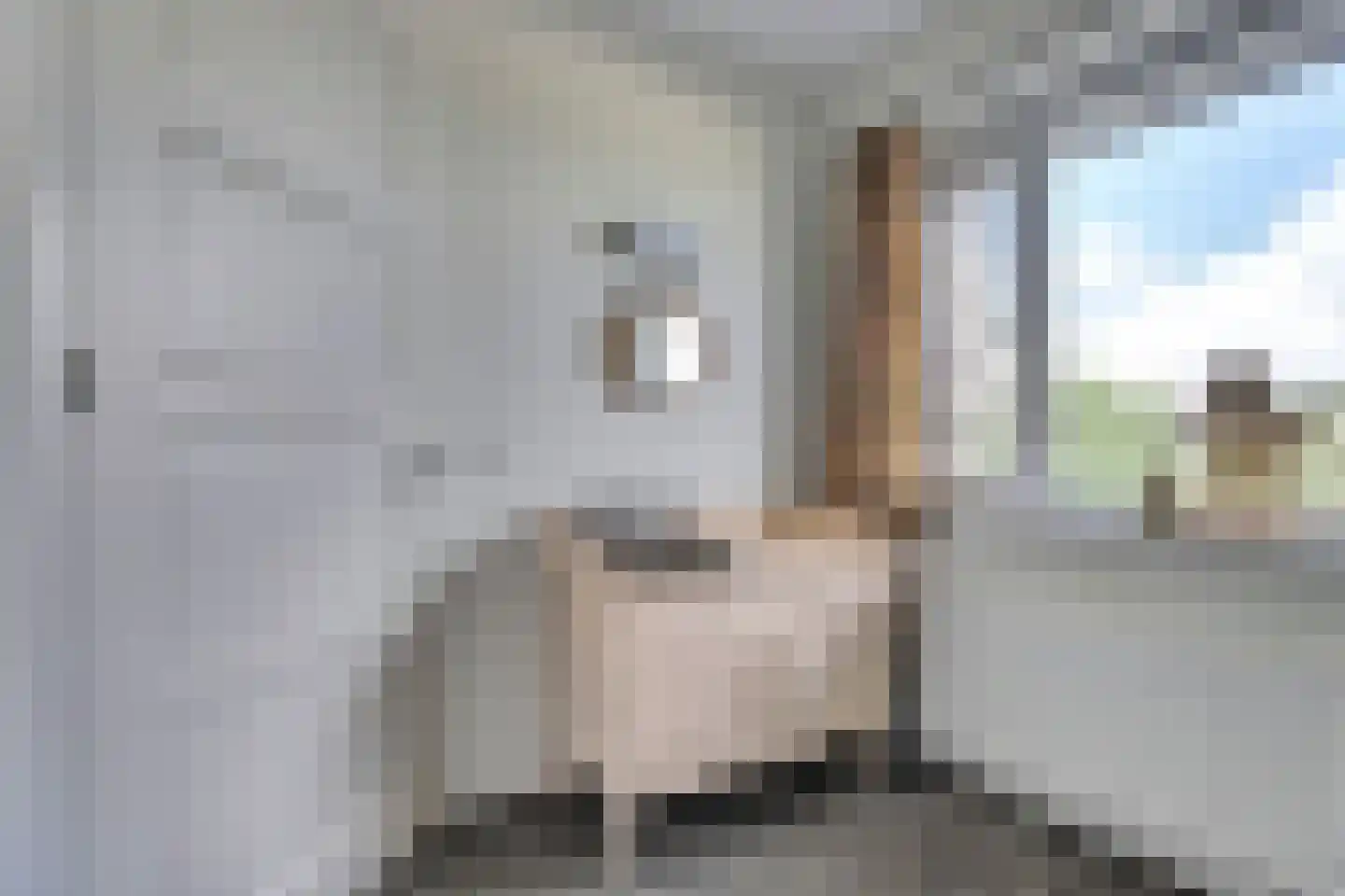 Johan van Oldenbarneveltstraat 2 1 Harlingen thumbnail 30